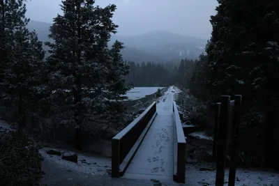 DSC_5843 (Large).JPG